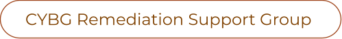 CYBG Remediation Support Group