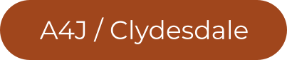 Action 4 Justice Build a Clydesdale Group